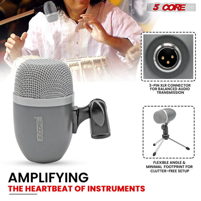 5 Core Tabla Mic Indian Instrument Microphone Set for Bayan Dayan Dholak Mic for Studio Stage Temple-2